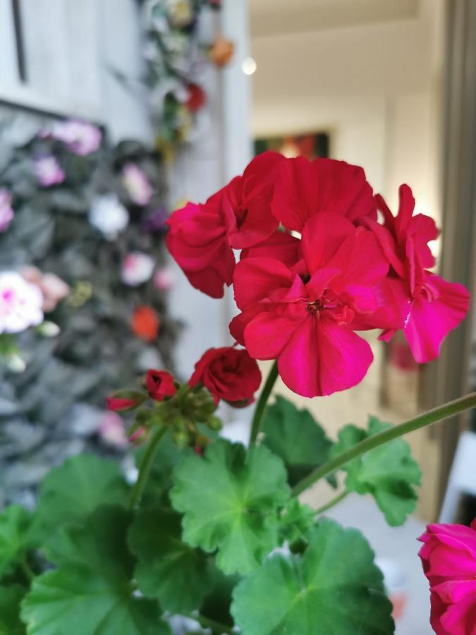 B&B Barbera フィレンツェ エクステリア 写真